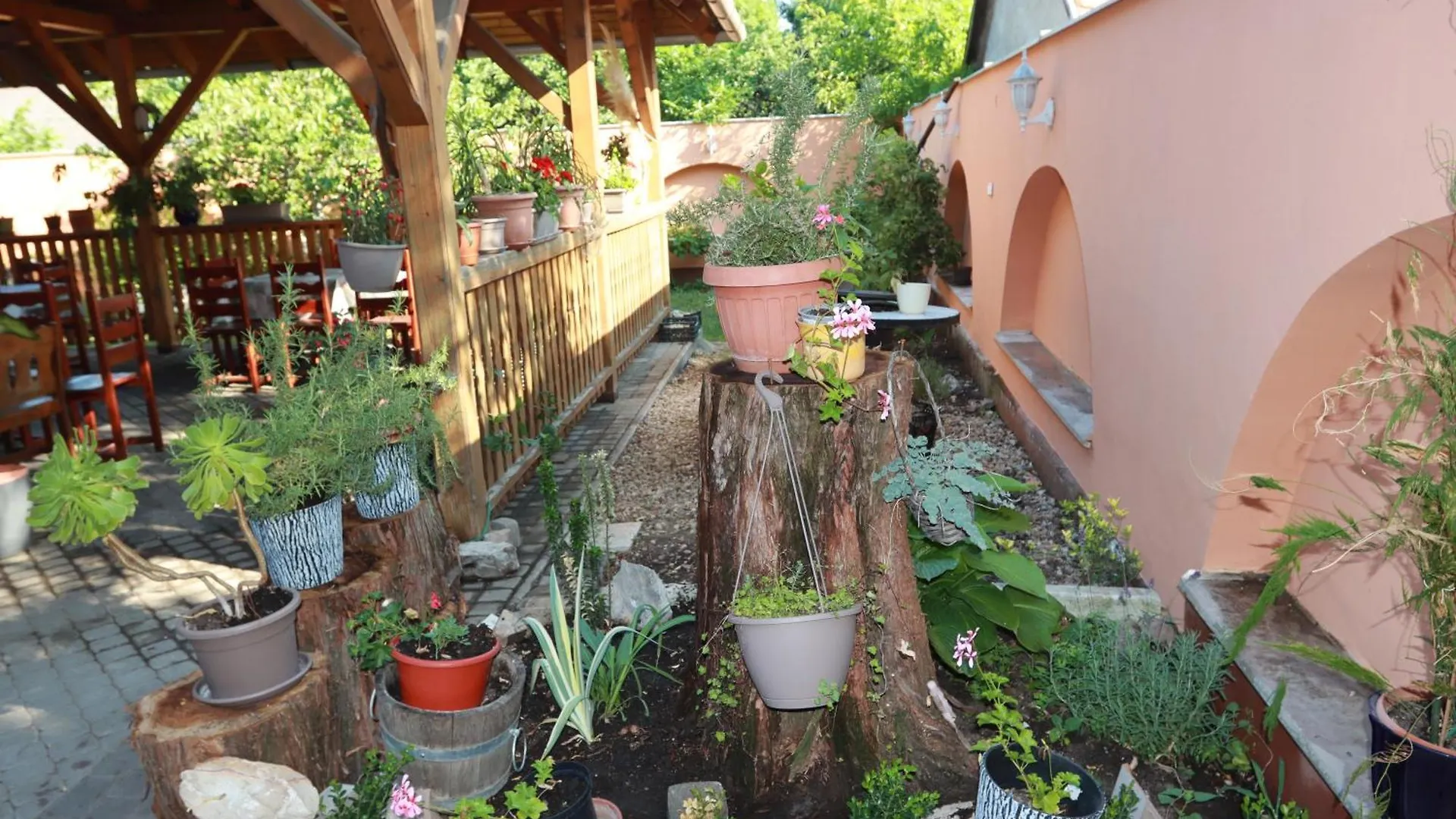 Arany Dio Fogado Apartman Eger Homestay szállás